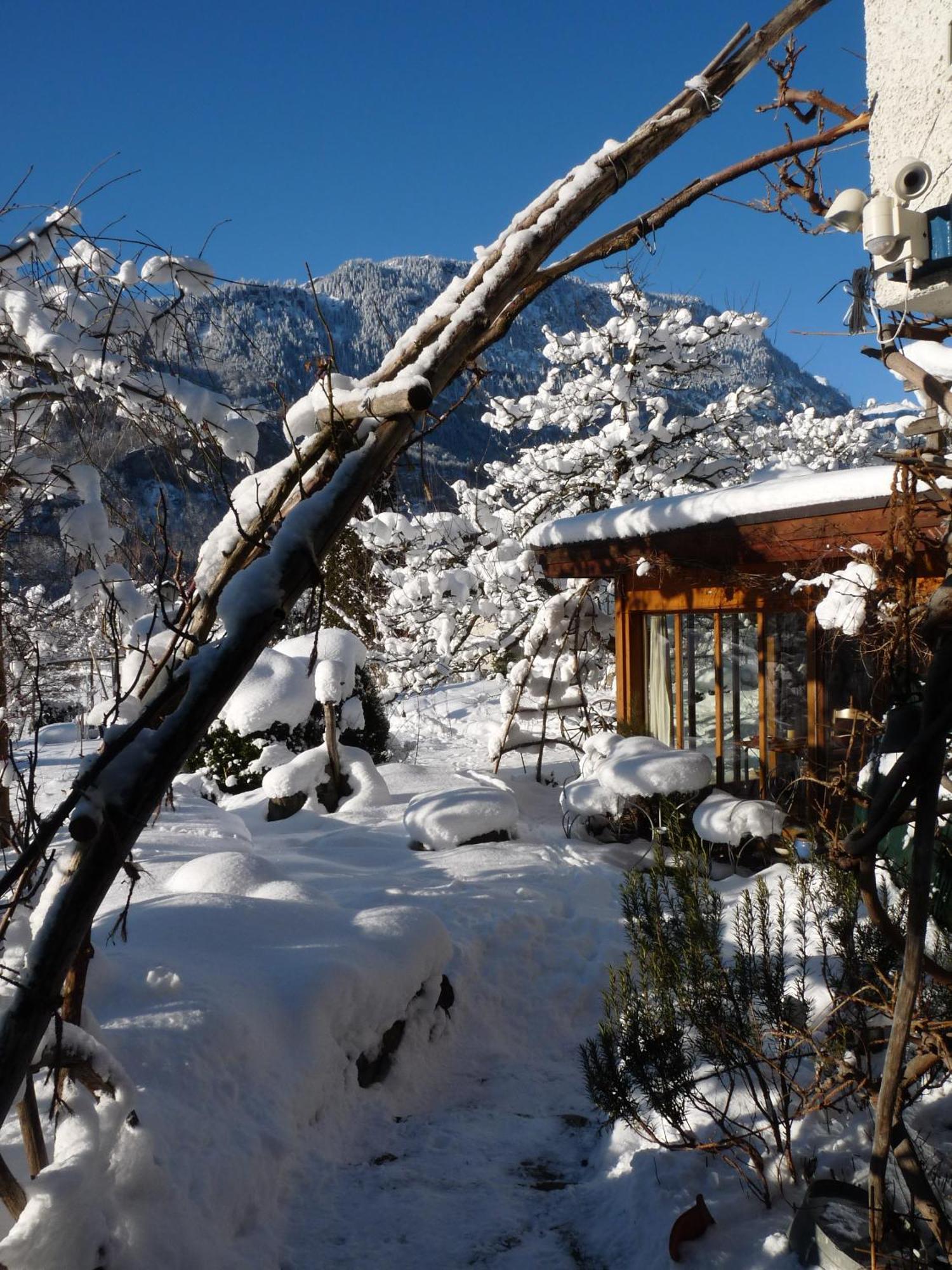 Dunkel Blaue Maus Bed & Breakfast Meiringen Eksteriør bilde