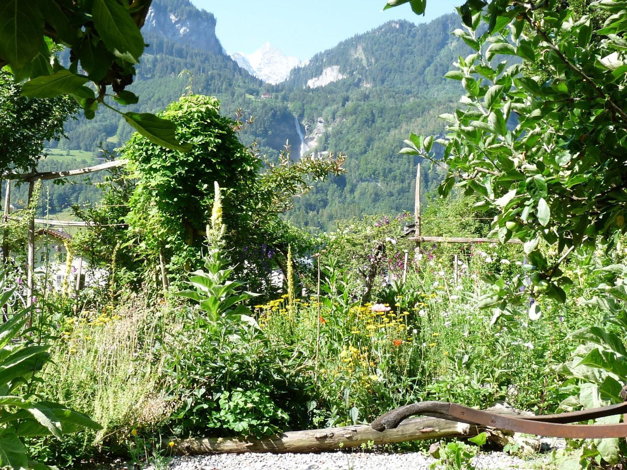 Dunkel Blaue Maus Bed & Breakfast Meiringen Eksteriør bilde