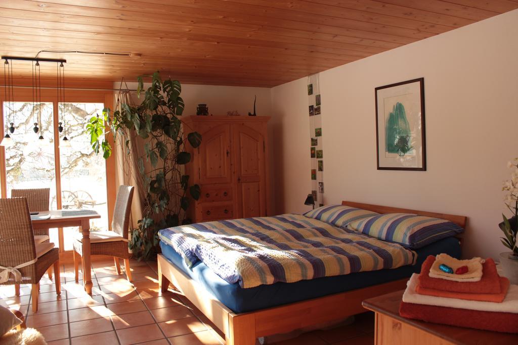 Dunkel Blaue Maus Bed & Breakfast Meiringen Eksteriør bilde
